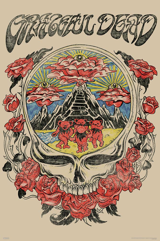 Grateful Dead Skull Vision Poster - 24" x 36"