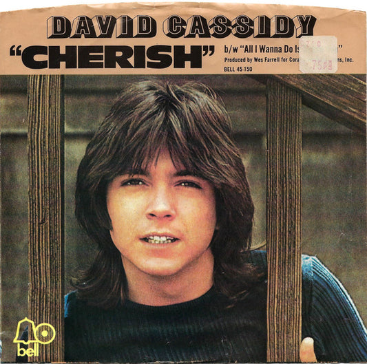David Cassidy : Cherish / All I Wanna Do Is Touch You (7", Single, Styrene, Pre)