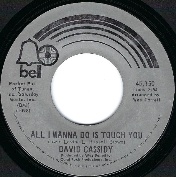 David Cassidy : Cherish / All I Wanna Do Is Touch You (7", Single, Styrene, Pre)