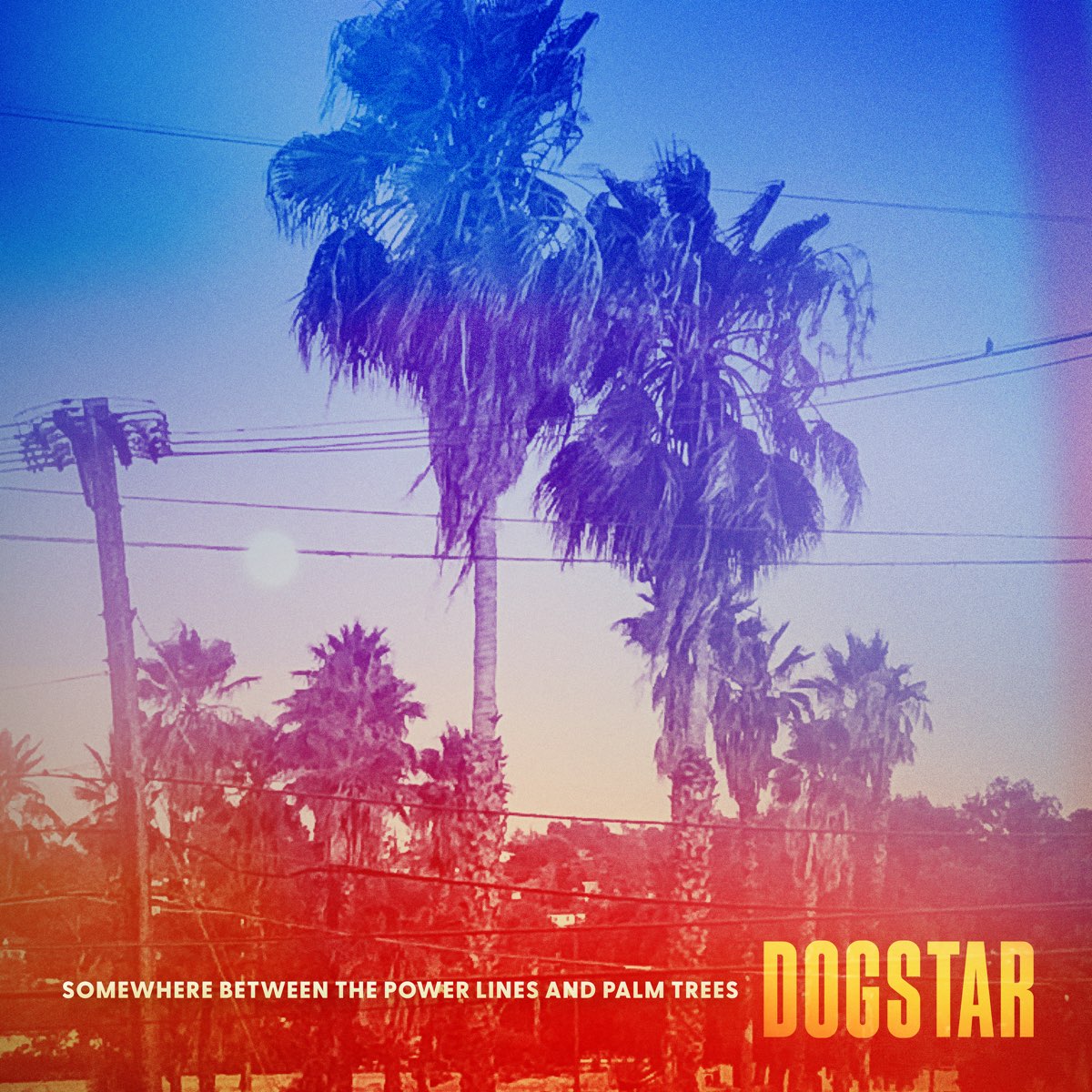 Dogstar - Somewhere Between The Power Lines & Palm Trees