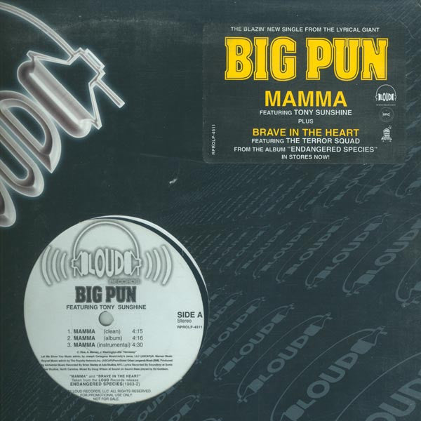 Big Pun* : Mamma / Brave In The Heart (12", Single, Promo)