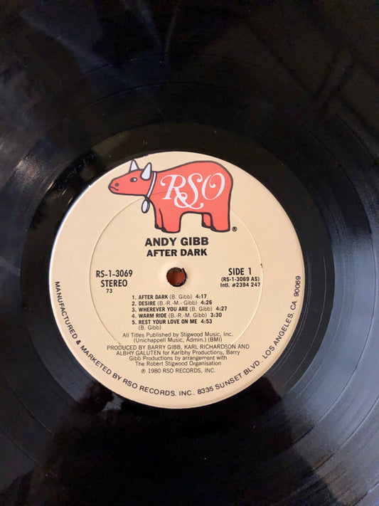 Andy Gibb : After Dark (LP, Album, 73)