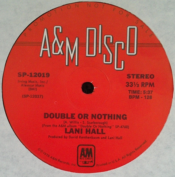 Lani Hall : Double Or Nothing (12", Promo)