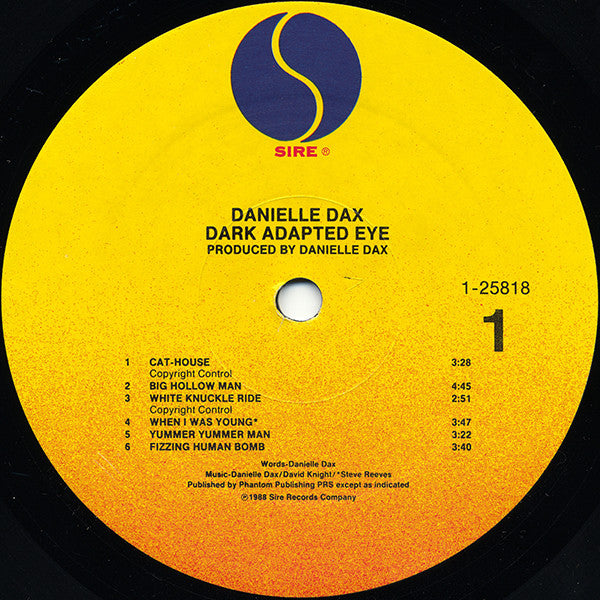 Danielle Dax : Dark Adapted Eye (LP, Comp, All)