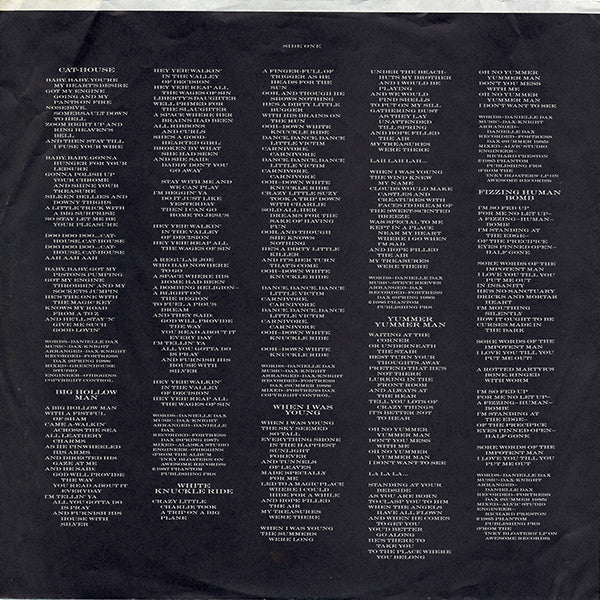 Danielle Dax : Dark Adapted Eye (LP, Comp, All)