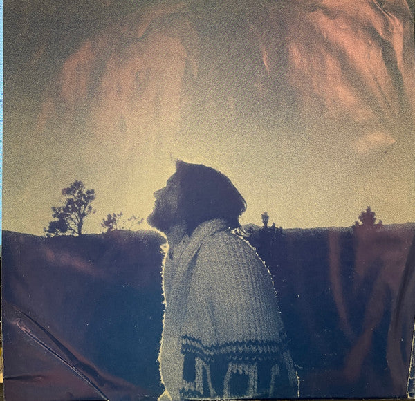 Dan Fogelberg : Nether Lands (LP, Album, Ter)
