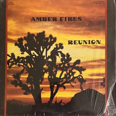 Amber Fires : Reunion (LP, Album)