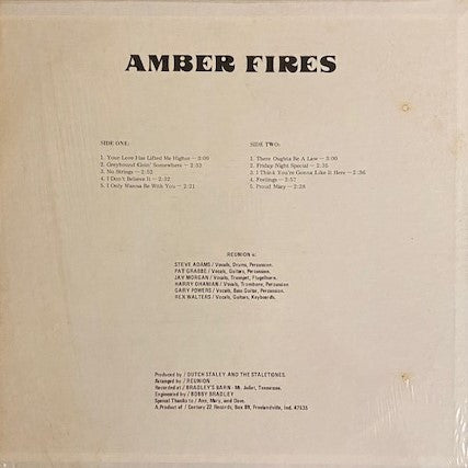 Amber Fires : Reunion (LP, Album)