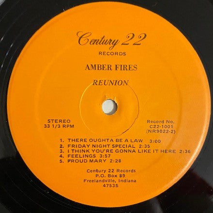 Amber Fires : Reunion (LP, Album)