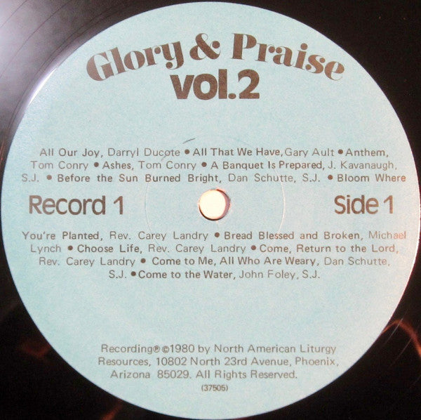 Various : Glory & Praise Vol. 2 (4xLP)