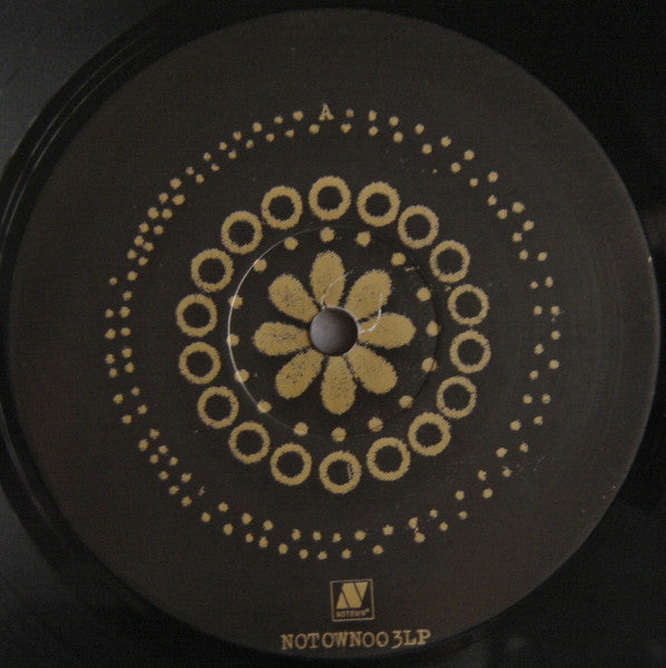 Gold Panda : Lucky Shiner (LP, Album)