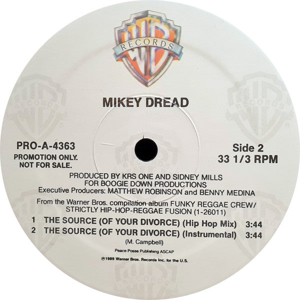 Mikey Dread : The Source (Of Your Divorce) (12", Promo)