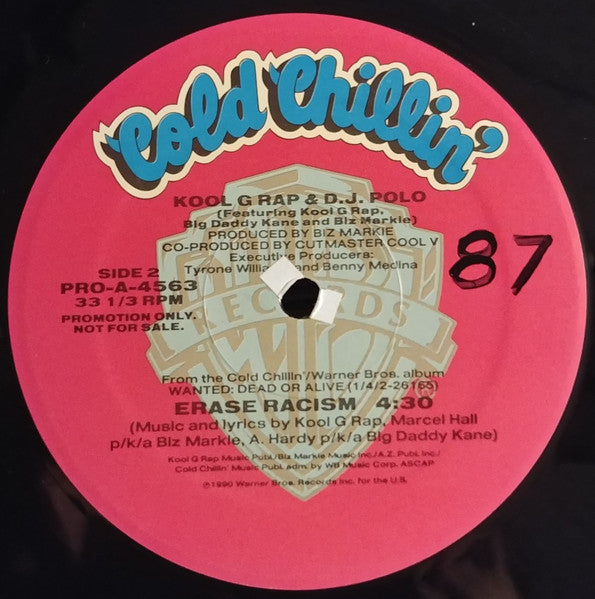 Kool G. Rap & DJ Polo* : Erase Racism (12", Promo)
