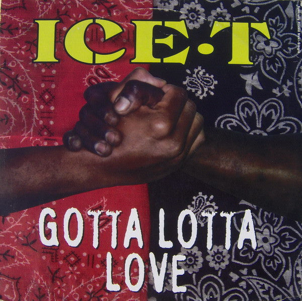 Ice-T : Gotta Lotta Love (12", Maxi)