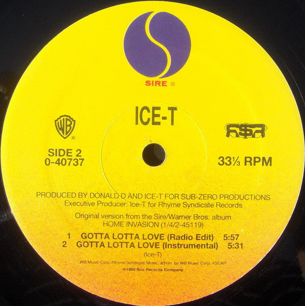 Ice-T : Gotta Lotta Love (12", Maxi)