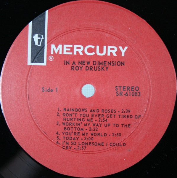 Roy Drusky : In A New Dimension (LP, Album)