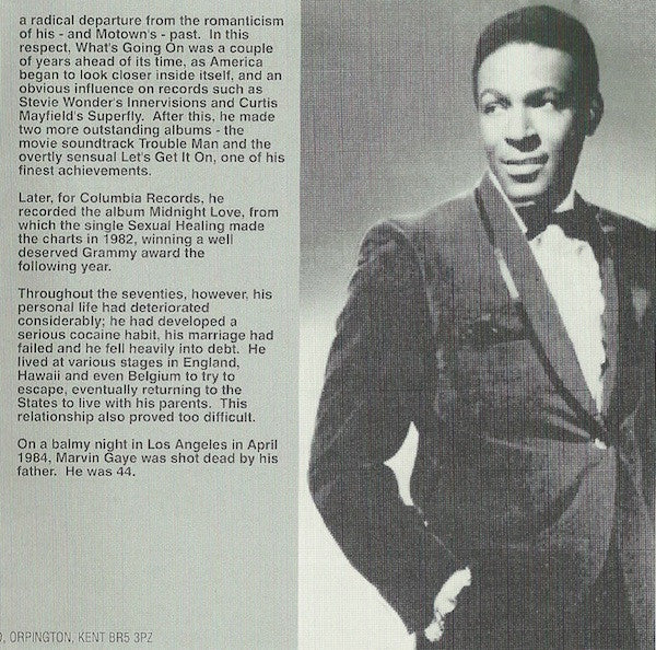 Marvin Gaye : Sexual Healing (CD)