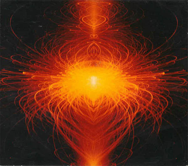 Medeski Martin & Wood : Combustication (CD, Album, Dig)