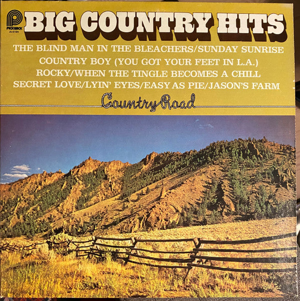 Country Road : Big Country Hits (LP)