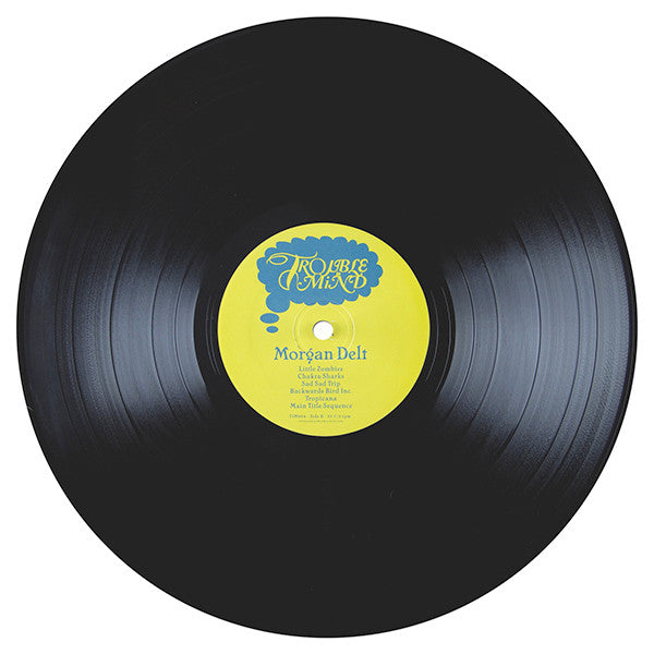 Morgan Delt : Morgan Delt (LP, Album)