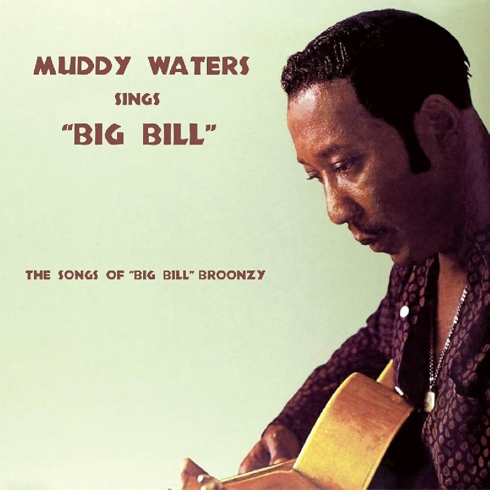 Waters, Muddy - Sings Big Bill (Vinyl)