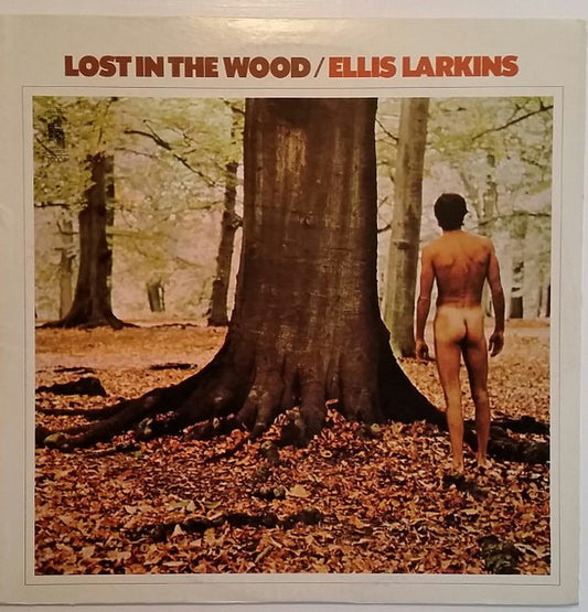 Ellis Larkins : Lost In The Wood (LP, Album)