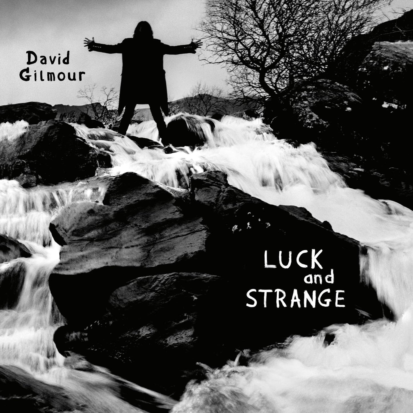 Gilmour, David - Luck And Strange