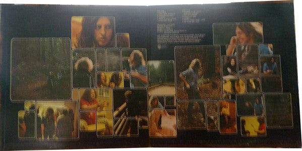 Lee Michaels : Barrel (LP, Album, Ter)