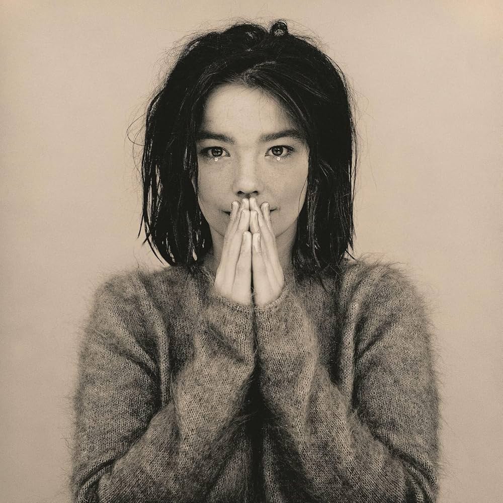 Bjork - Debut