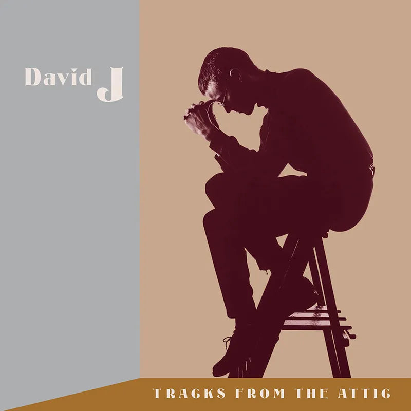 David J - Tracks from the Attic