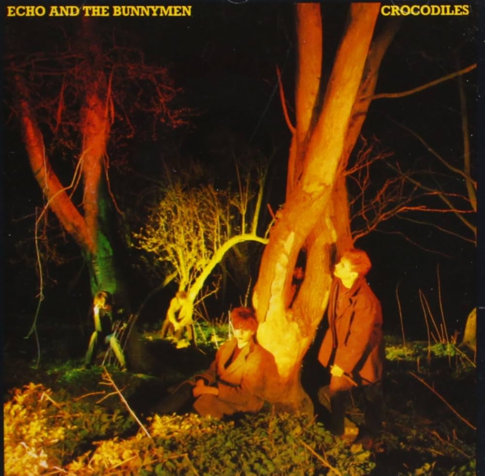 Echo and the Bunnymen - Crocodiles