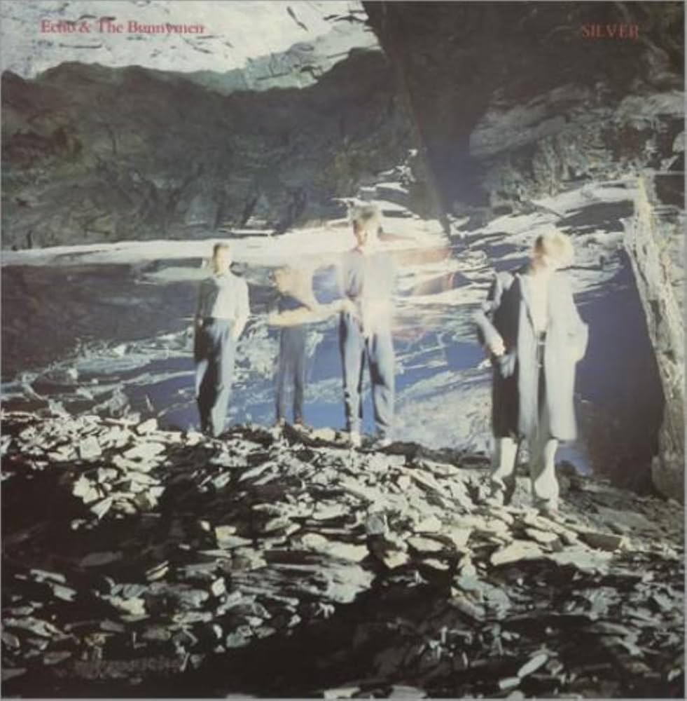 Echo and the Bunnymen - Silver