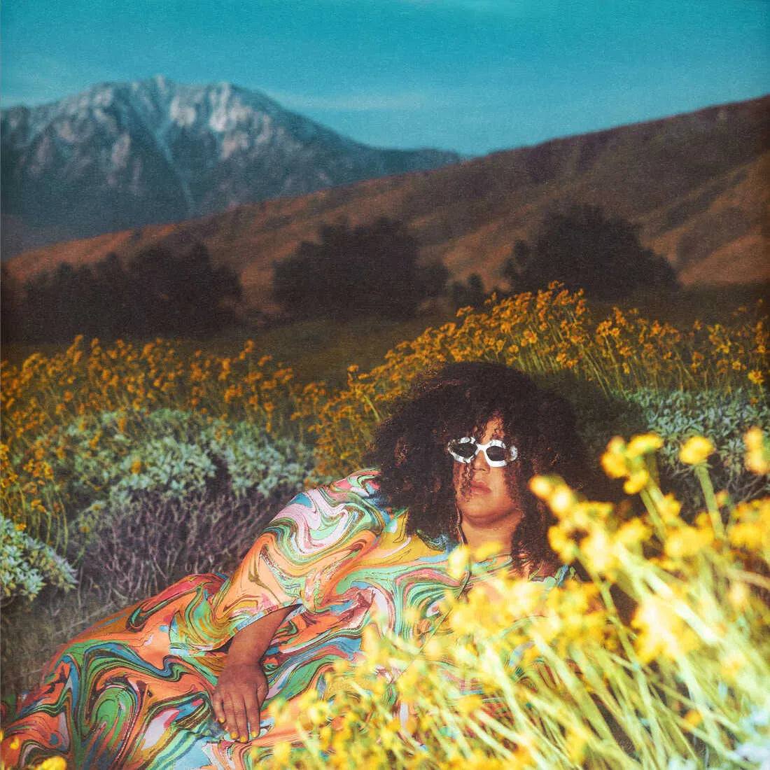 Howard, Brittney - What Now