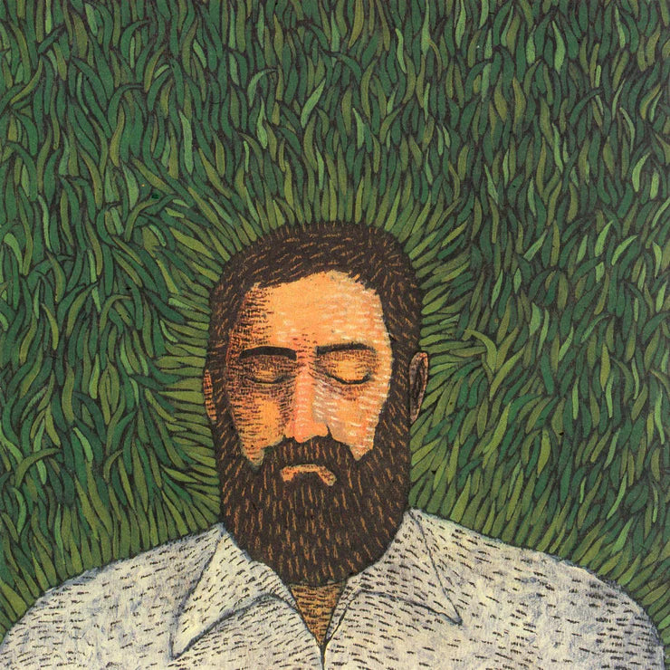 Iron and Wine - Our Endless Numbered Days