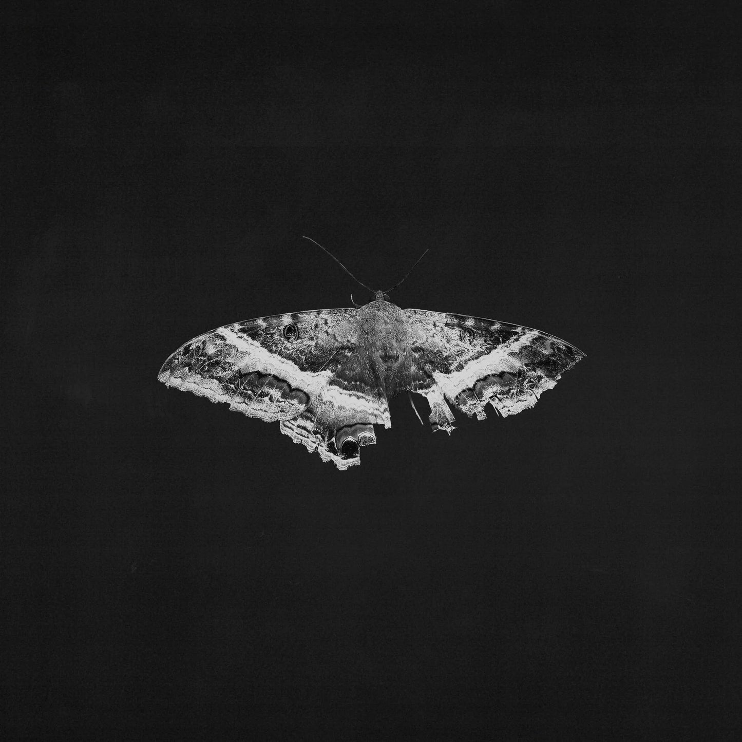 Lamar, Kendrick - To Pimp a Butterfly