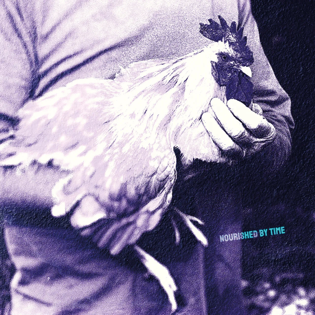 Nourished By Time - Catching Chickens (EP)