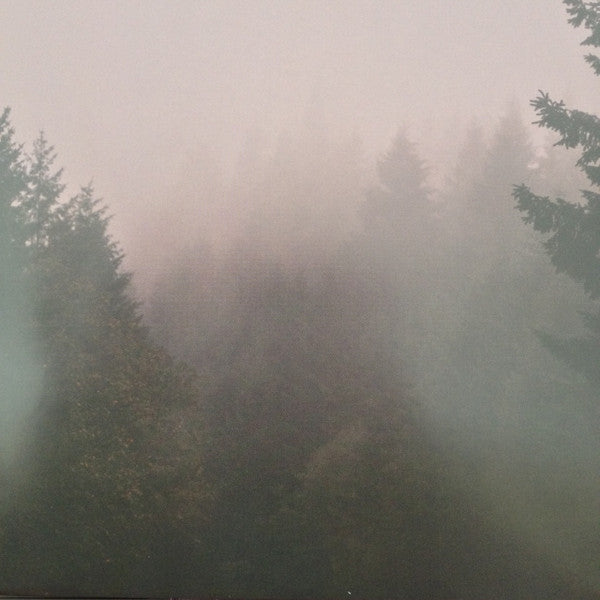 Pattern Is Movement - The Silence Of The Trees (NM or M-)