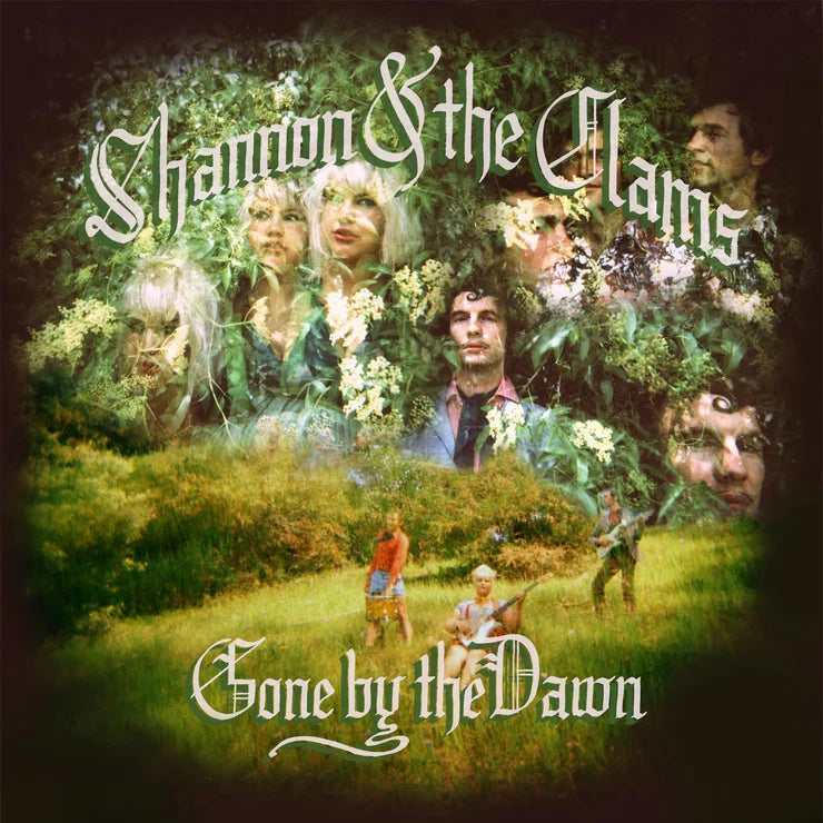 Shannon and the Clams - Gone By the Dawn