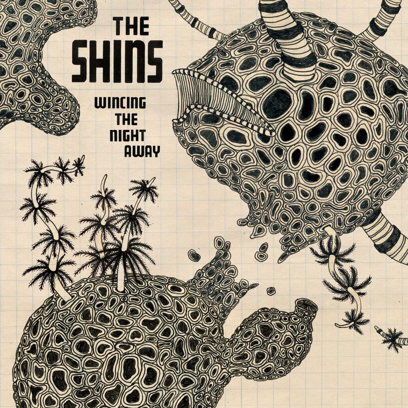 Shins - Wincing the Night Away