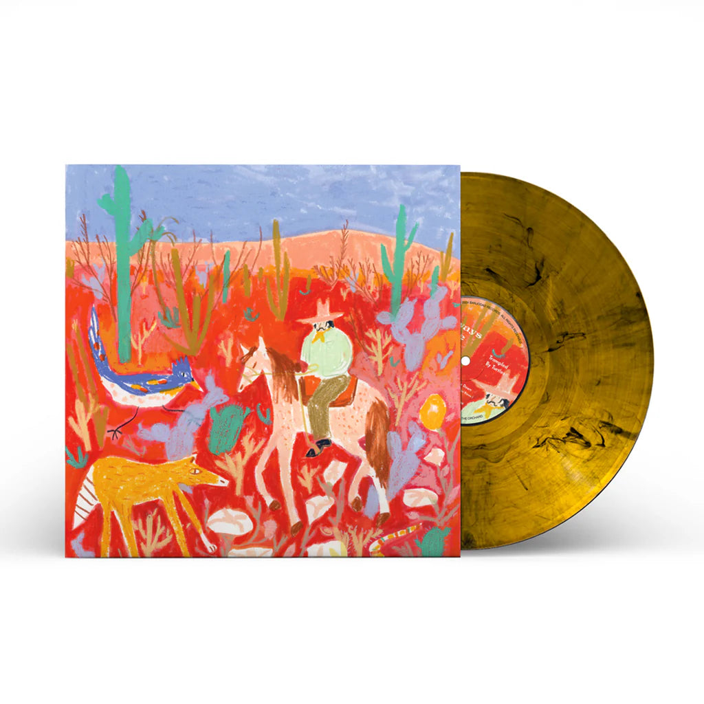 Trampled By Turtles & Dead Man Winter - Always Here, Always Now