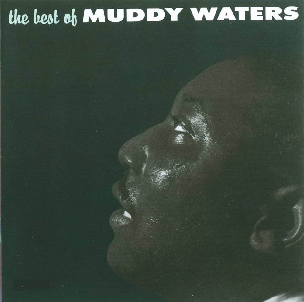 Waters, Muddy - Best of Muddy Waters