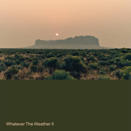 Whatever The Weather - Whatever The Weather II