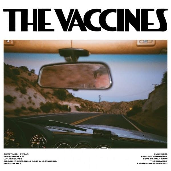 Vaccines - Pick-Up Full of Carnations