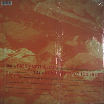 Shazzy : Pass Anotha Bag (12")