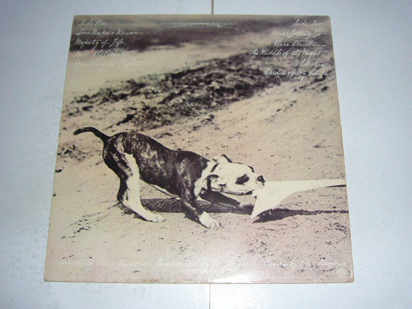 Phoebe Snow : Never Letting Go (LP, Album, Ter)
