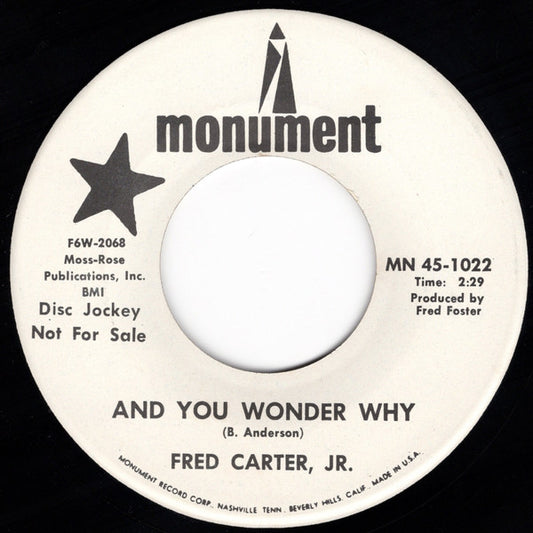 Fred Carter, Jr. : And You Wonder Why / It's A Rough Old Road (7", Promo)