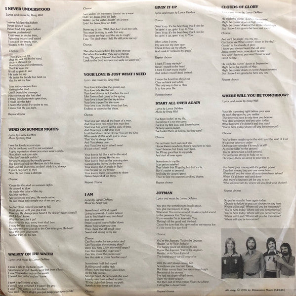 The Wall Brothers : Start All Over Again (LP, Album)