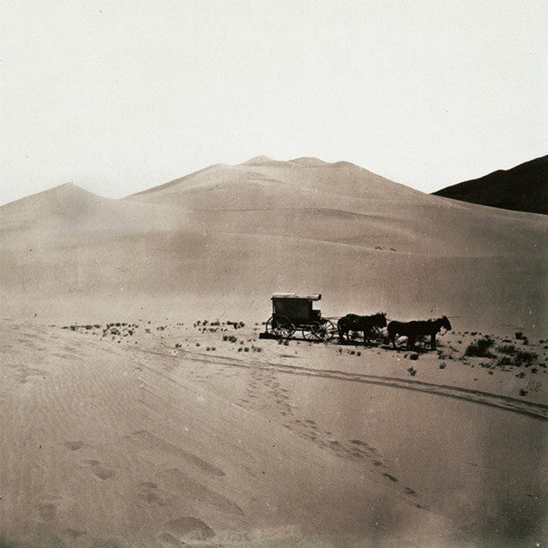 Scriptures (2) : Scriptures (LP, Ltd)