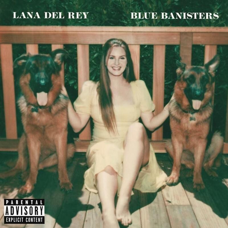 Lana Del Rey sale Blue Banisters Vinyl