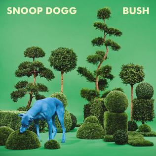 Snoop Dog - Bush